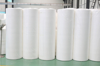 Good Quality BFE99 Filter Meltblown/Melt Blown Nonwoven Fabric